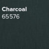 Charcoal65576