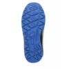 Leon-membrana_-slika-sole