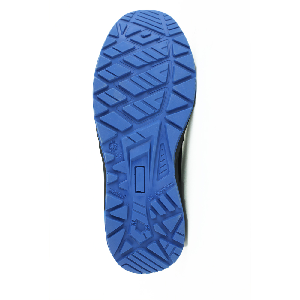 Leon-membrana_-slika-sole